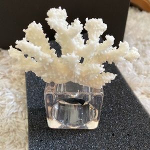 Kim Seybert Reef Napkin Ring Total 4